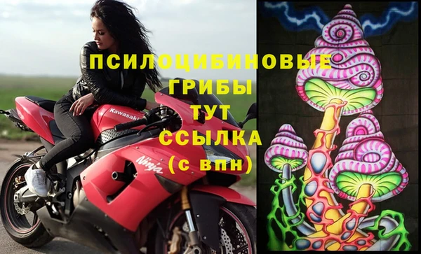 mdpv Бородино
