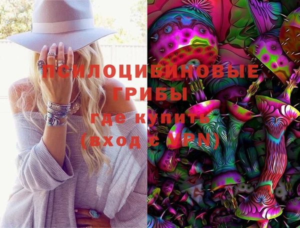 твердый Верхний Тагил