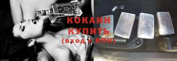 твердый Верхний Тагил