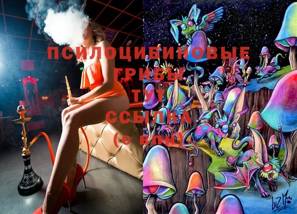 индика Верхнеуральск